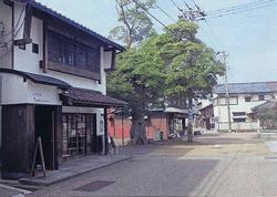 カフェタブノキ2.