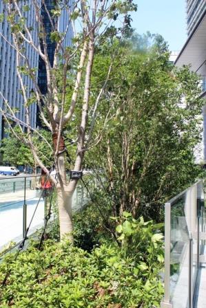福井藩江戸上屋敷跡