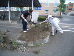 花壇の整備