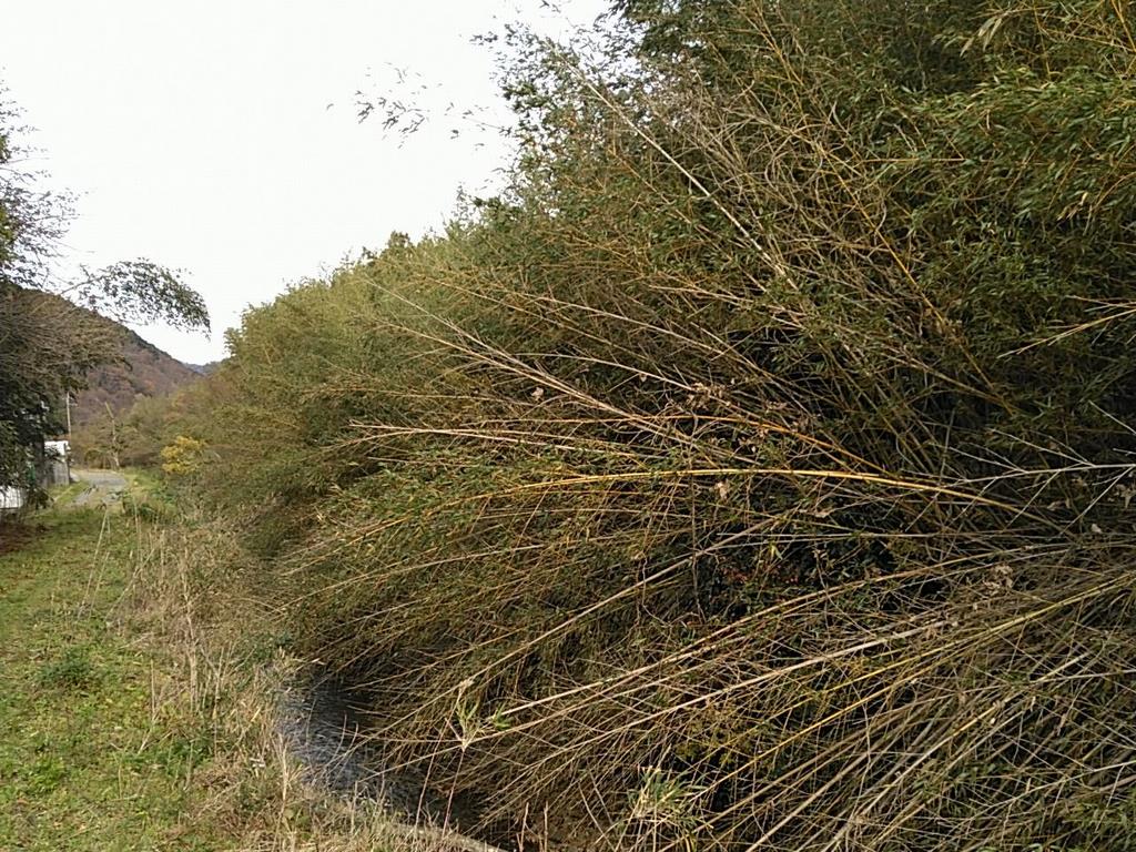 R6はす川浚渫　前