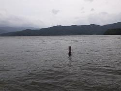 三方五湖ヒシ除去後