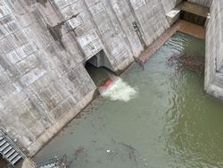 堤内仮排水路吐口