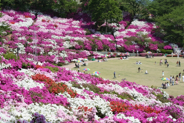 西山公園