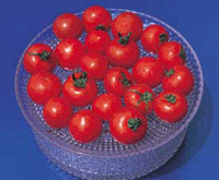 Fruity Tomatoes: Koshi Rubies