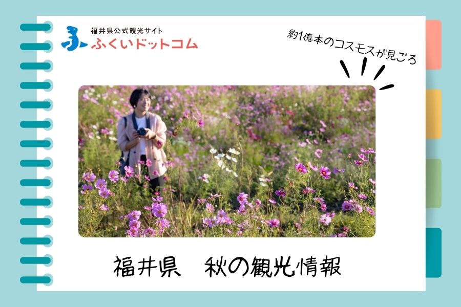 福井県公式観光サイト ふくいドットコム