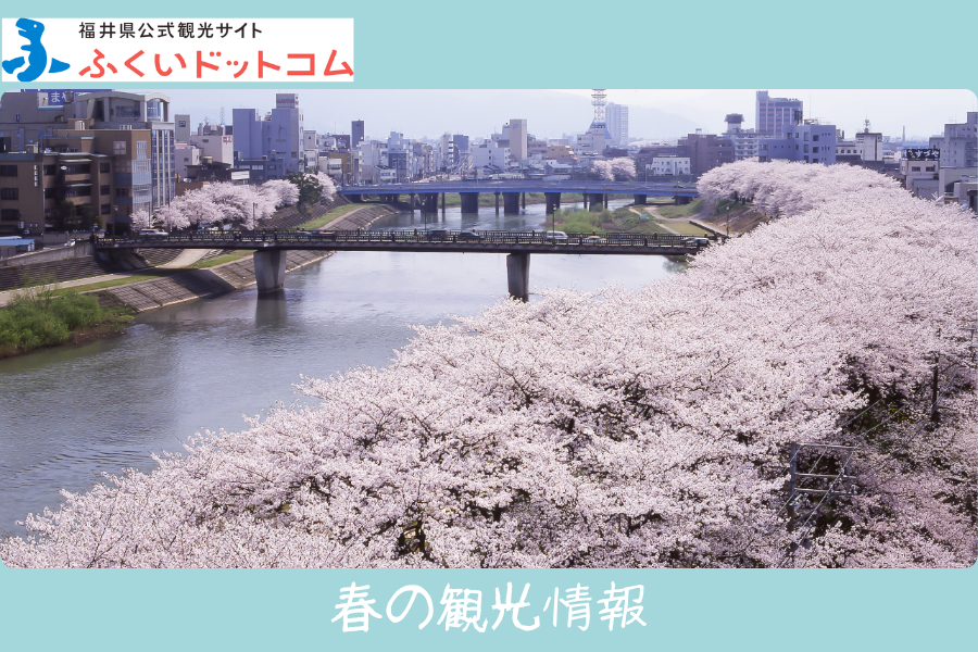 Sitio oficial de turismo de la prefectura de Fukui Fukui.com