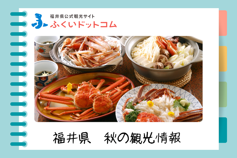 福井県公式観光サイト ふくいドットコム