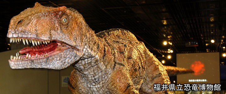 福井県恐竜博物館(恐竜模型)