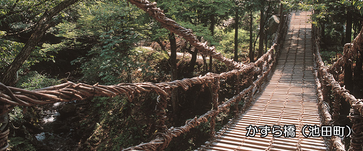 かずら橋
